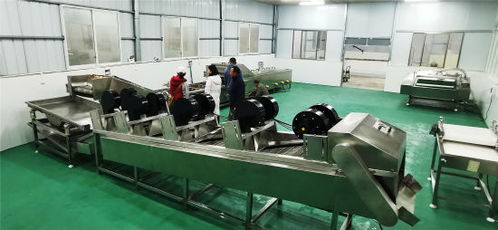 铜梁 升级合作社加工厂，让水碾村咸菜“水工业”工艺飘香远方